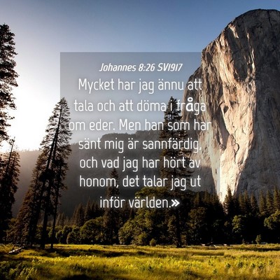 Picture 04 - Johannes 8:26 SV1917 - Mycket har jag ännu att tala och att döma i - Bible Verse Picture