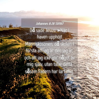 Picture 04 - Johannes 8:28 SV1917 - Då sade Jesus: »När I haven upphöjt - Bible Verse Picture