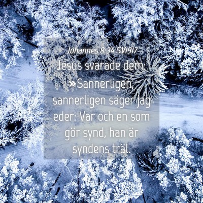 Picture 04 - Johannes 8:34 SV1917 - Jesus svarade dem: »Sannerligen, sannerligen - Bible Verse Picture