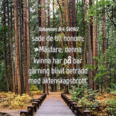 Picture 04 - Johannes 8:4 SV1917 - sade de till honom: »Mästare, denna kvinna har - Bible Verse Picture