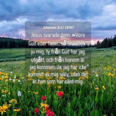 Picture 04 - Johannes 8:42 SV1917 - Jesus svarade dem: »Vore Gud eder fader, så - Bible Verse Picture