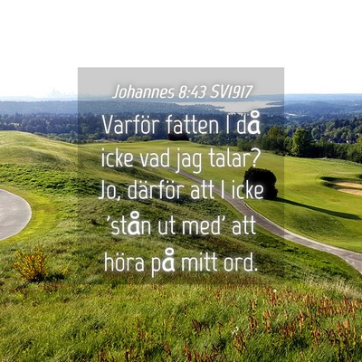 Picture 04 - Johannes 8:43 SV1917 - Varför fatten I då icke vad jag talar? Jo, - Bible Verse Picture