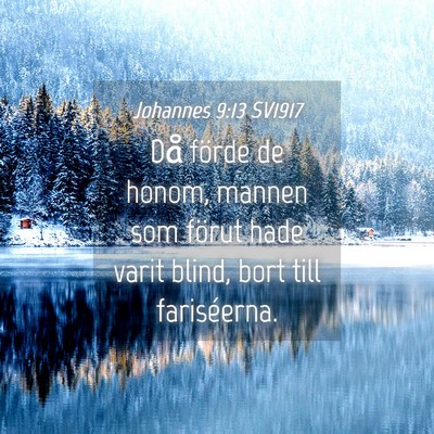 Picture 04 - Johannes 9:13 SV1917 - Då förde de honom, mannen som förut hade varit - Bible Verse Picture