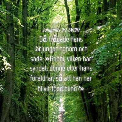 Picture 04 - Johannes 9:2 SV1917 - Då frågade hans lärjungar honom och sade: - Bible Verse Picture