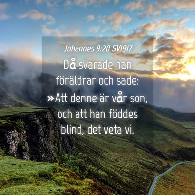 Picture 04 - Johannes 9:20 SV1917 - Då svarade han föräldrar och sade: »Att denne - Bible Verse Picture