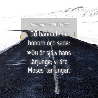 Picture 04 - Johannes 9:28 SV1917 - Då bannade de honom och sade: »Du är själv - Bible Verse Picture