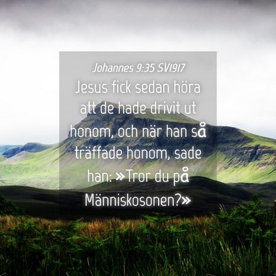 Picture 04 - Johannes 9:35 SV1917 - Jesus fick sedan höra att de hade drivit ut - Bible Verse Picture
