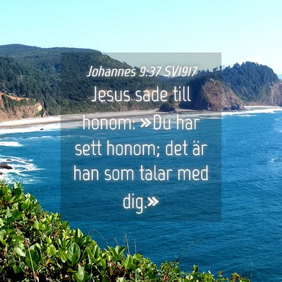 Picture 04 - Johannes 9:37 SV1917 - Jesus sade till honom: »Du har sett honom; det - Bible Verse Picture