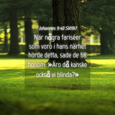 Picture 04 - Johannes 9:40 SV1917 - När några fariséer som voro i hans närhet - Bible Verse Picture