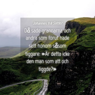 Picture 04 - Johannes 9:8 SV1917 - Då sade grannarna och andra som förut hade sett - Bible Verse Picture