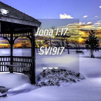 Picture 04 - Jona 1:17 SV1917 -  - Bible Verse Picture