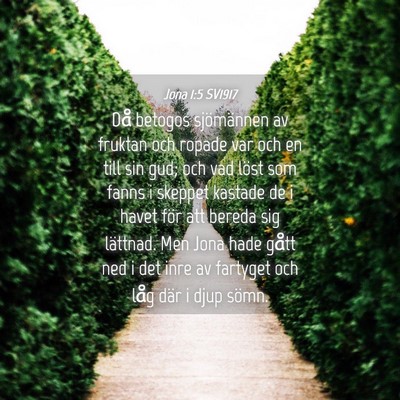 Picture 04 - Jona 1:5 SV1917 - Då betogos sjömännen av fruktan och ropade var - Bible Verse Picture