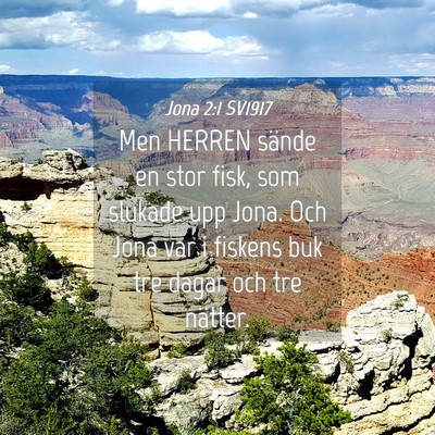 Picture 04 - Jona 2:1 SV1917 - Men HERREN sände en stor fisk, som slukade upp - Bible Verse Picture