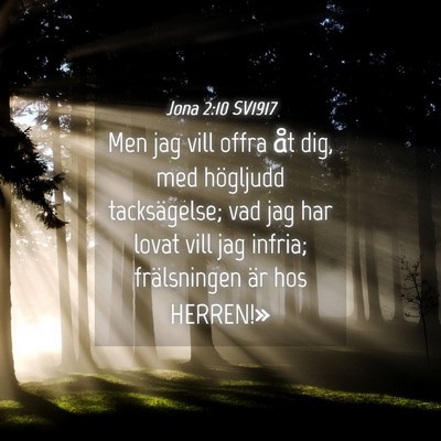 Picture 04 - Jona 2:10 SV1917 - Men jag vill offra åt dig, med högljudd - Bible Verse Picture