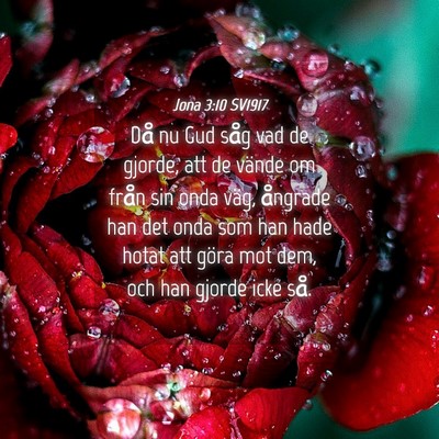Picture 04 - Jona 3:10 SV1917 - Då nu Gud såg vad de gjorde, att de vände om - Bible Verse Picture