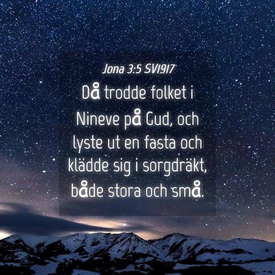 Picture 04 - Jona 3:5 SV1917 - Då trodde folket i Nineve på Gud, och lyste ut - Bible Verse Picture