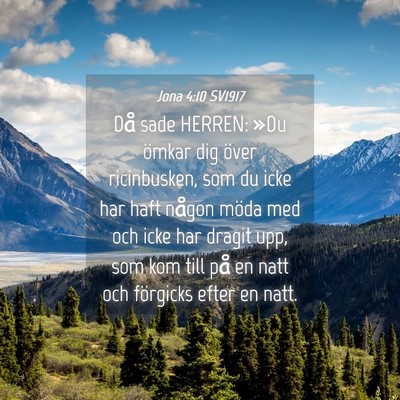 Picture 04 - Jona 4:10 SV1917 - Då sade HERREN: »Du ömkar dig över - Bible Verse Picture