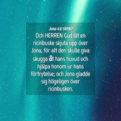 Picture 04 - Jona 4:6 SV1917 - Och HERREN Gud lät en ricinbuske skjuta upp - Bible Verse Picture
