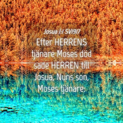 Picture 04 - Josua 1:1 SV1917 - Efter HERRENS tjänare Moses död sade HERREN - Bible Verse Picture
