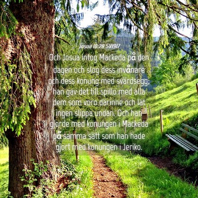 Picture 04 - Josua 10:28 SV1917 - Och Josua intog Mackeda på den dagen och slog - Bible Verse Picture
