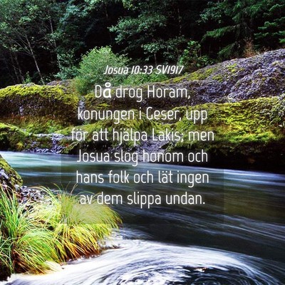 Picture 04 - Josua 10:33 SV1917 - Då drog Horam, konungen i Geser, upp för att - Bible Verse Picture