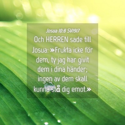 Picture 04 - Josua 10:8 SV1917 - Och HERREN sade till Josua: »Frukta icke för - Bible Verse Picture