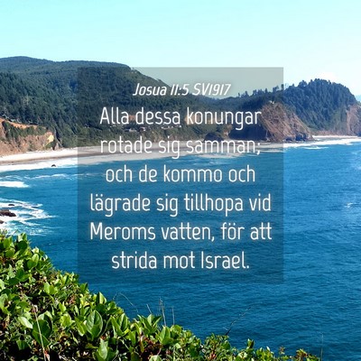 Picture 04 - Josua 11:5 SV1917 - Alla dessa konungar rotade sig samman; och de - Bible Verse Picture