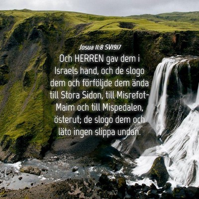 Picture 04 - Josua 11:8 SV1917 - Och HERREN gav dem i Israels hand, och de slogo - Bible Verse Picture