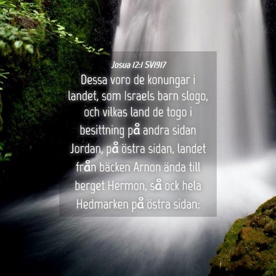 Picture 04 - Josua 12:1 SV1917 - Dessa voro de konungar i landet, som Israels barn - Bible Verse Picture