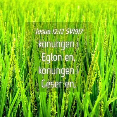 Picture 04 - Josua 12:12 SV1917 - konungen i Eglon en, konungen i Geser - Bible Verse Picture