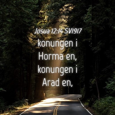 Picture 04 - Josua 12:14 SV1917 - konungen i Horma en, konungen i Arad - Bible Verse Picture