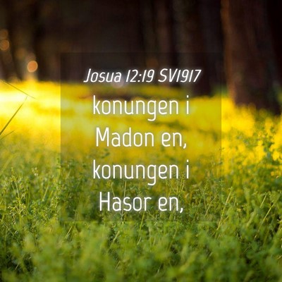 Picture 04 - Josua 12:19 SV1917 - konungen i Madon en, konungen i Hasor - Bible Verse Picture
