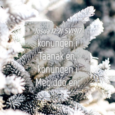 Picture 04 - Josua 12:21 SV1917 - konungen i Taanak en, konungen i Megiddo - Bible Verse Picture