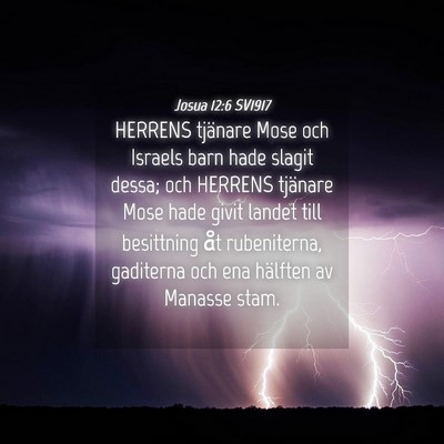 Picture 04 - Josua 12:6 SV1917 - HERRENS tjänare Mose och Israels barn hade - Bible Verse Picture