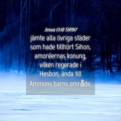 Picture 04 - Josua 13:10 SV1917 - jämte alla övriga städer som hade tillhört - Bible Verse Picture