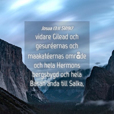 Picture 04 - Josua 13:11 SV1917 - vidare Gilead och gesuréernas och maakatéernas - Bible Verse Picture