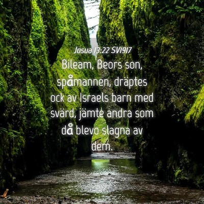 Picture 04 - Josua 13:22 SV1917 - Bileam, Beors son, spåmannen, dräptes ock av - Bible Verse Picture