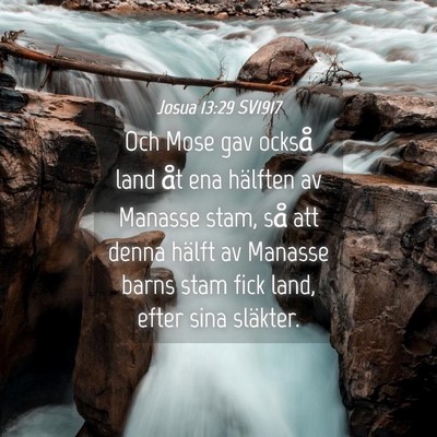 Picture 04 - Josua 13:29 SV1917 - Och Mose gav också land åt ena hälften av - Bible Verse Picture
