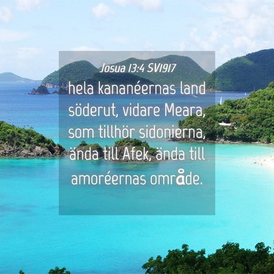 Picture 04 - Josua 13:4 SV1917 - hela kananéernas land söderut, vidare Meara, - Bible Verse Picture