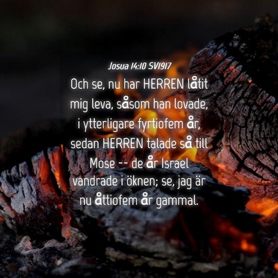 Picture 04 - Josua 14:10 SV1917 - Och se, nu har HERREN låtit mig leva, såsom han - Bible Verse Picture