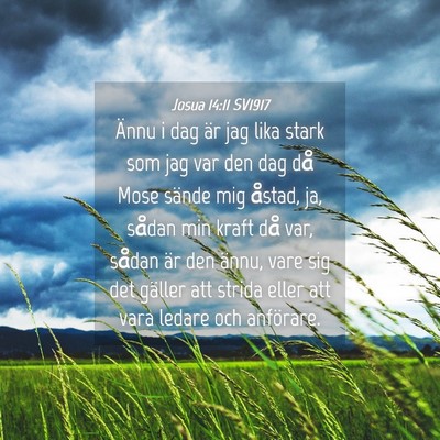 Picture 04 - Josua 14:11 SV1917 - Ännu i dag är jag lika stark som jag var den - Bible Verse Picture