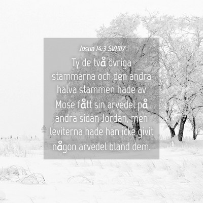 Picture 04 - Josua 14:3 SV1917 - Ty de två övriga stammarna och den andra halva - Bible Verse Picture