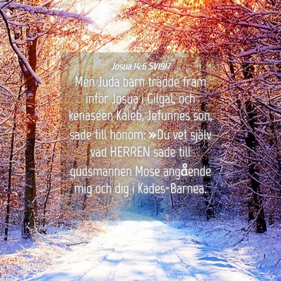 Picture 04 - Josua 14:6 SV1917 - Men Juda barn trädde fram inför Josua i Gilgal, - Bible Verse Picture