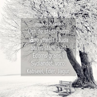 Picture 04 - Josua 15:21 SV1917 - Och de städer som lågo ytterst i Juda barns - Bible Verse Picture