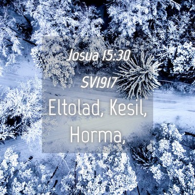 Picture 04 - Josua 15:30 SV1917 - Eltolad, Kesil, - Bible Verse Picture