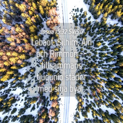 Picture 04 - Josua 15:32 SV1917 - Lebaot, Silhim, Ain och Rimmon -- tillsammans - Bible Verse Picture