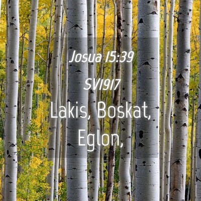 Picture 04 - Josua 15:39 SV1917 - Lakis, Boskat, - Bible Verse Picture