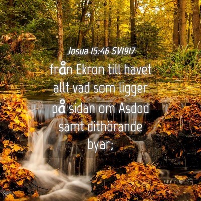Picture 04 - Josua 15:46 SV1917 - från Ekron till havet allt vad som ligger på - Bible Verse Picture