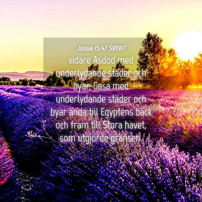 Picture 04 - Josua 15:47 SV1917 - vidare Asdod med underlydande städer och byar, - Bible Verse Picture
