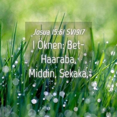 Picture 04 - Josua 15:61 SV1917 - I Öknen: Bet-Haaraba, Middin, - Bible Verse Picture